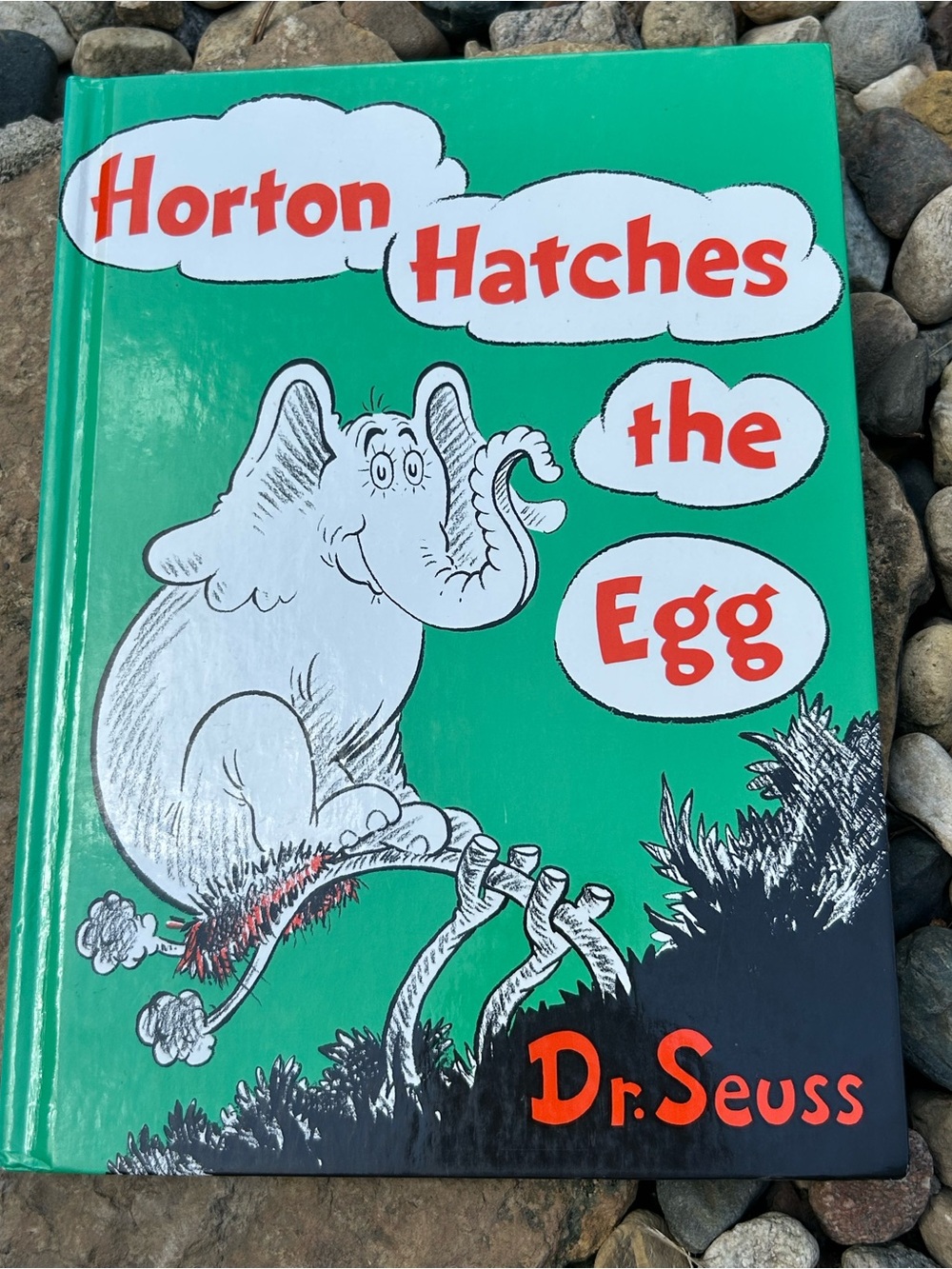 🩶5/$30 Dr. Seuss Horton Hatches the Egg Hardcover Book